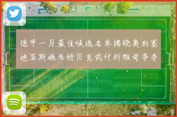 德甲一月最佳候选名单揭晓奥利塞迪亚斯施洛特贝克武什科维奇争夺荣耀