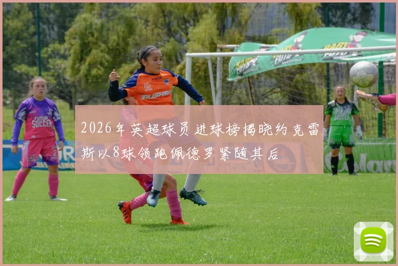 2026年英超球员进球榜揭晓约克雷斯以8球领跑佩德罗紧随其后