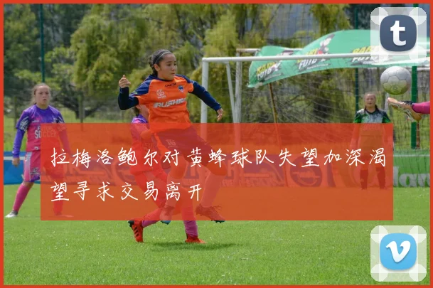 拉梅洛鲍尔对黄蜂球队失望加深渴望寻求交易离开