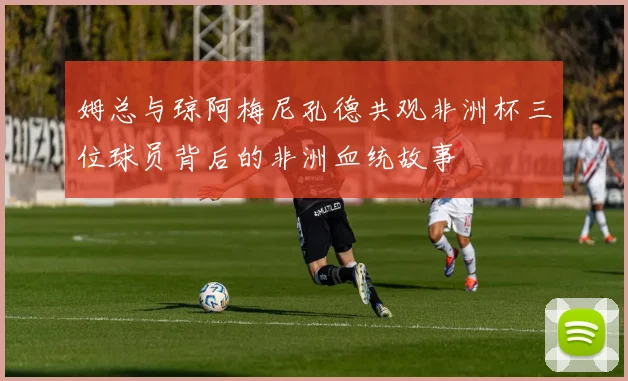 姆总与琼阿梅尼孔德共观非洲杯三位球员背后的非洲血统故事